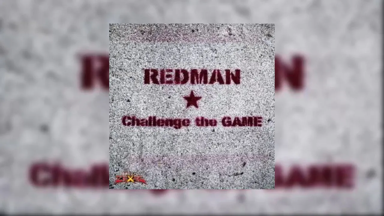 REDMAN 「Challenge the GAME」  & 「doppel」