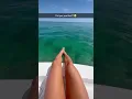 A Shark Almost Got Me