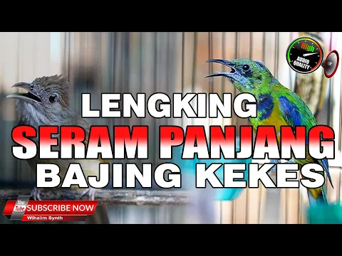 Download MP3 MASTERAN CUCAK CUNGKOK GACOR FULL ISIAN SEPERTI BAJING KEKES VS KAPAS TEMBAK GACOR PANJANG JERNIH