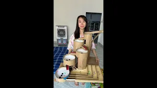 Gia Dinh SiGem live trưa 23.6.36