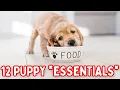 All the things your puppy NEEDS