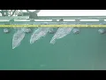 Inspectors clear Michigan s Mackinac Bridge as safe after it was hit by crane