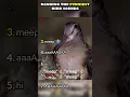 Download Lagu Ranking The Funniest Bird Sounds