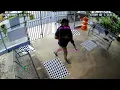 AI Gun Detection Example Pistol and Rifle Identification on Live Camera