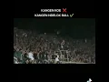 Download Lagu story wa Bonek mania briganta curva Sud