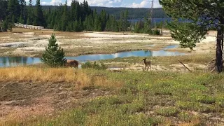 of Yellowstone Park Mountainside KOA MT from Derek E