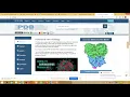 Protein Data Bank PDB