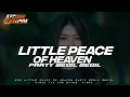 DJ A LITTLE PEACE OF HEAVEN PARTY BEDIL BEDIL KARNAVAL 2024