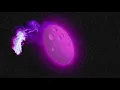 Kaskade & WILL K - Flip Reset [Monstercat Official Music Video]