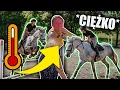 Download Lagu TEN TRENING NAS WYKOŃCZYŁ 😅 | MYŚLAŁAM ŻE ZEMDLEJĘ
