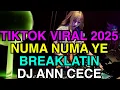 Download Lagu NUMA NUMA YE TIKTOK VIRAL 2025 BREAKLATIN DISCO REMIX DJ ANN CECE