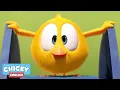 Download Lagu Where's Chicky? The Bin | Funny Cartoons for Kids | Kids Show | Toddler Learning Cartoons
