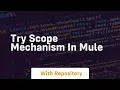 Try scope mechanism in mule