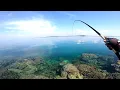 Download Lagu SAKING JERNIHNYA AIR KELIHATAN JELAS SAAT IKAN MEMAKAN UMPAN !!! MANCING NGOYOR KARANG DANGKAL