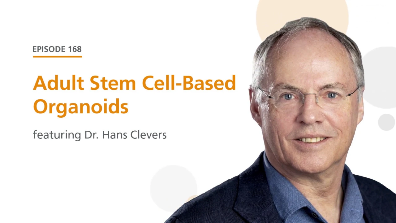 Adult Stem Cell-Based Organoids featuring Dr. Hans Clevers | The Stem Cell Podcast