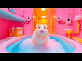 Download Lagu The Ultimate Maze Escape 🐹 Hamster Outsmarts Security Cameras 🐹 Hamster Maze