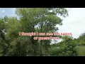 Download Lagu A walk at the Milliken Park