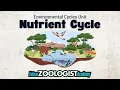 Nutrient Cycle What Is a Nutrient Cycle