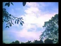 HEART BEAT / GUAN CHAI