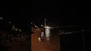 شاطئ العقبة ليلا Shorts 