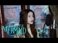 Download Lagu Part Of Your World - Halle Bailey (The Little Mermaid) | Shania Yan Cover
