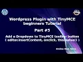 Learn Wordpress Plugin with TinyMCE Editor Beginners Tutorial Add Dropdown button to TinyMCE