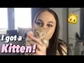 I got a kitten