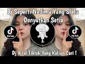 Download Lagu DJ SEPERTI NADIMU YANG SLALU DENYUTKAN SETIA | DJ ORANG YANG SAMA VIRAL TIKTOK TERBARU 2024 !