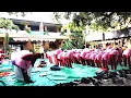 Download Lagu SUASANA DISEKOLAH