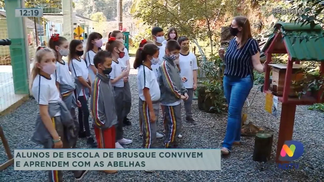 Alunos de escola de Brusque convivem e aprendem com as abelhas