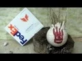 FedEx Prank Call - You Have No Packages