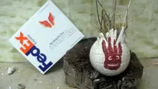 FedEx Prank Call - You Have No Packages