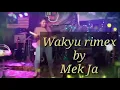 Lagu Wakyu Dessy Pariswati cover by Mek Ja
