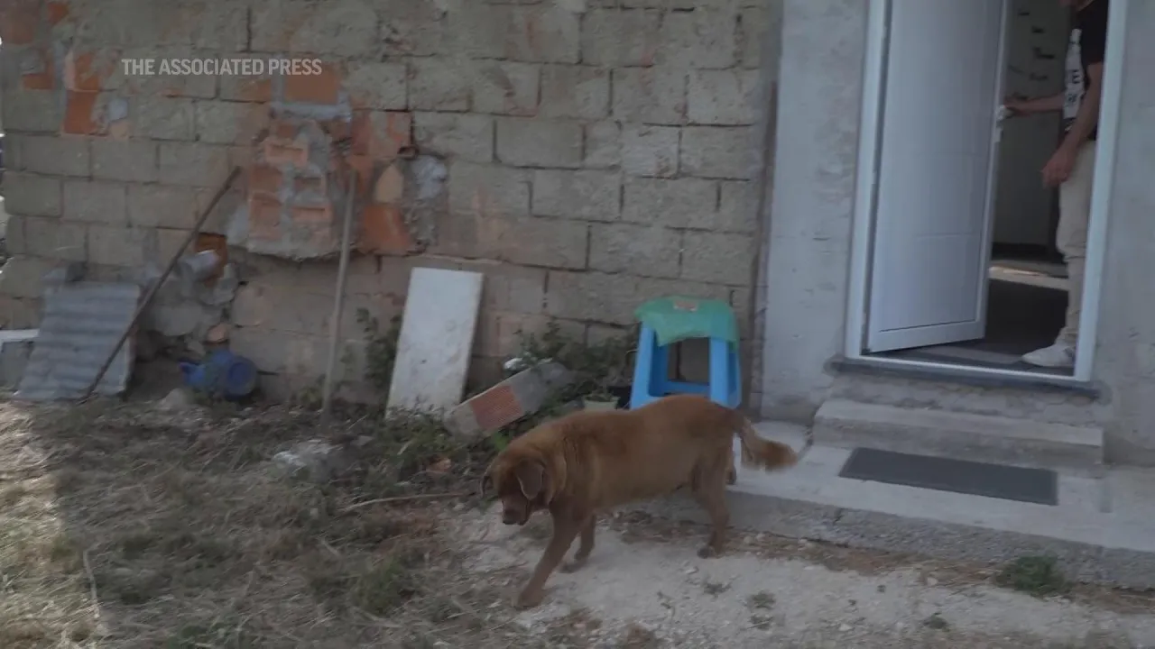 Secrets of the world's oldest dog