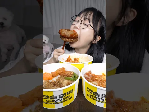 한솥 신메뉴 !왕갈비맛 함박스테이크 덮밥,치폴레 함박스테이크 덮밥💕