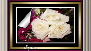 سمارا ياسمارا مسيكين الغريب وحدوه دندنها
