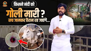 नंदी दर्द से तड़पता रहा… आखिर जिम्मेदार कौन है ?