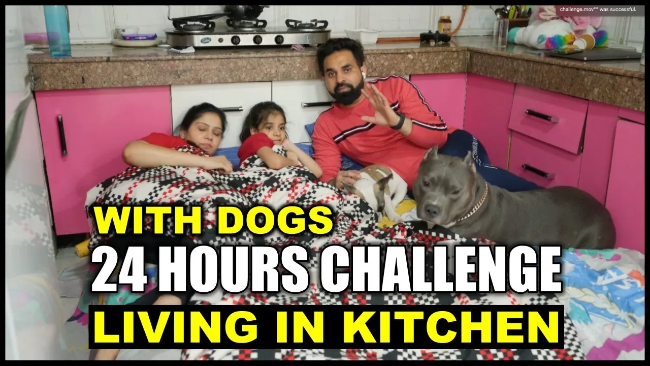 Living in Kitchen for 24 Hours Challenge with Brody Bunny | Harpreet SDC