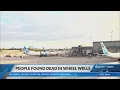 2 bodies found in the landing gear of JetBlue plane