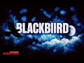 BLACKBIIRD – Beyoncé | Official Audio | Emotional Soul Anthem 2026 🖤🔥#blackbird#beyonce 