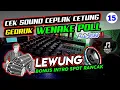 CEK SOUND LANGGAM GEDRUK🔊LEWUNG || AUDIO RANCAK WENAK POLL🎶