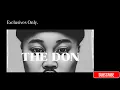 Download Lagu Exclusive Amapiano Mix 2025 | The Don Presents: Yanos Experience