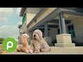 Talking dog food with talking dogs at Publix
