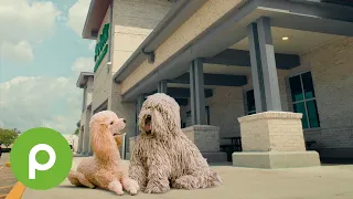 Talking dog food with talking dogs at Publix
