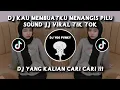 Download Lagu DJ KAU BUAT KU MENANGIS PILU - DJ BAWALAH CINTAMU BY BHAPON MUSIK VIRAL TIKTOK TERBARU 2025 !!