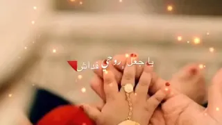 امي أغلى مافي الكون 