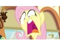 Fluttershy Snaps - Buckball Season
