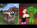 Download Lagu JJ and Mikey Watch Scary BIG SHEEP on The Cameras !?