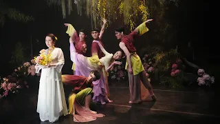 where the flowers bloom floral symphony