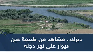                                                               دندنها